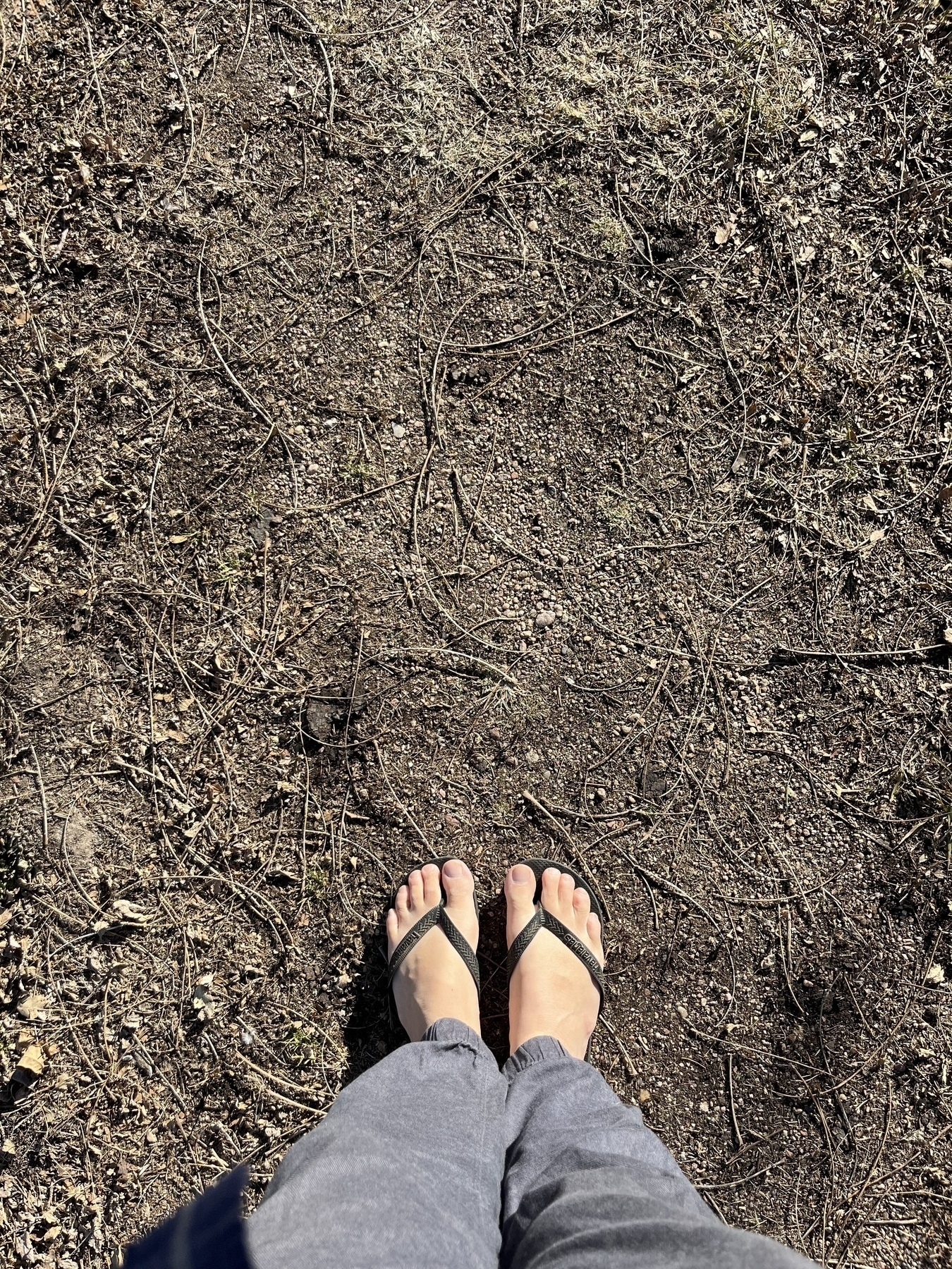 A person wearing sandals stands on a patch of dry, brown ground with sparse vegetation.