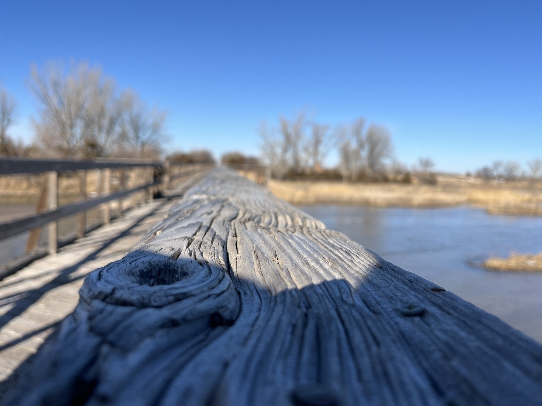 A weathered wooden railing leads into a natural landscape with bare trees and a clear blue sky in the background.