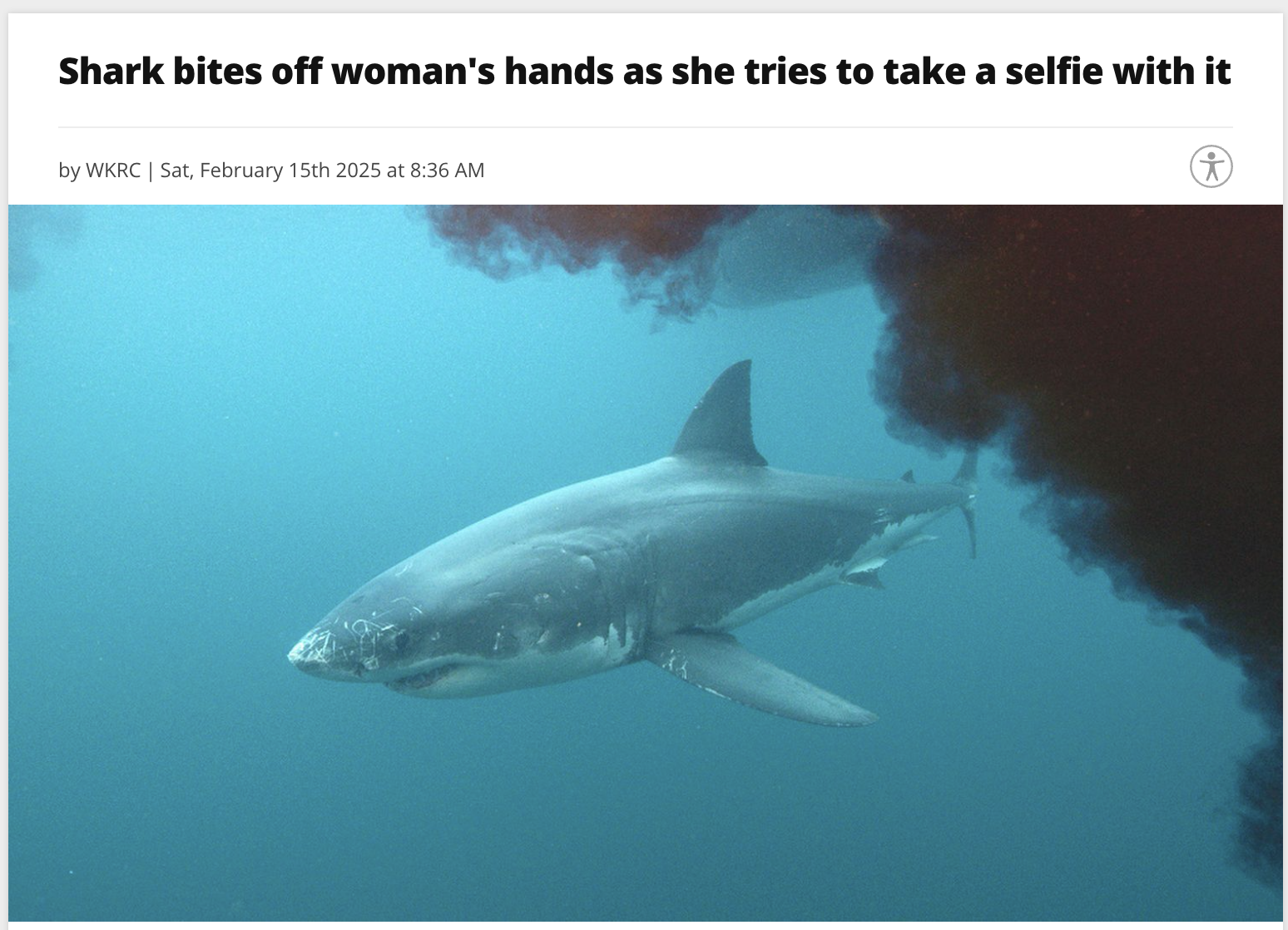 A shark swims in murky blue water, accompanied by a news headline about a shark biting off a woman's hands while she attempted to take a selfie.